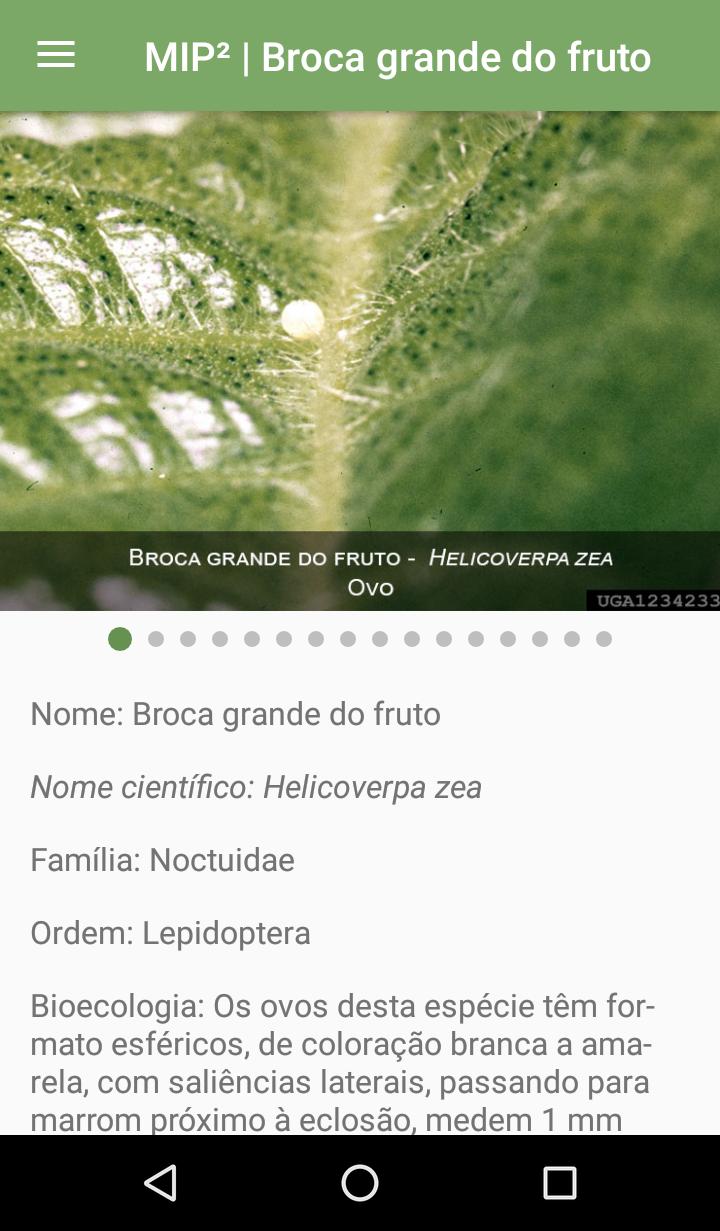 About